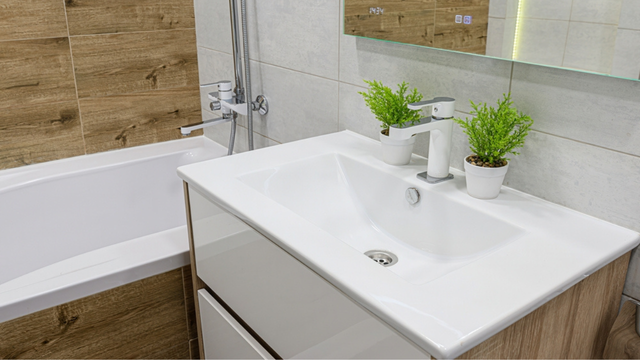 Japoneses evitam spray no banheiro: o truque natural com plantas que elimina odores