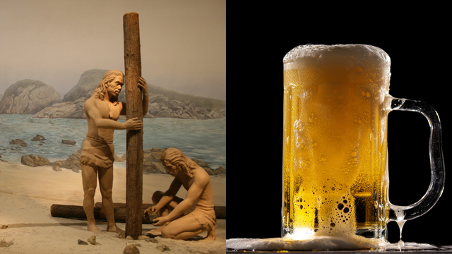 Os humanos gostam de cerveja.  A grande questão é se gostamos o suficiente para termos inventado a agricultura