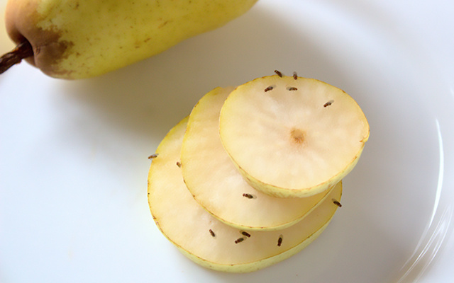 Mistura caseira que afasta mosquitinhos da fruta da sua cozinha em 1 minuto