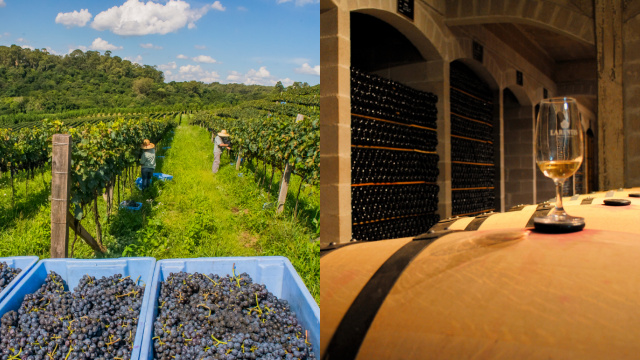 Você precisa conhecer a capital brasileira do vinho: é pra beber, comer e relaxar!