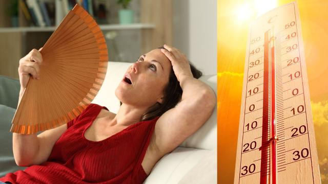 É o inferno na terra! Como sobreviver à assustadora previsão de 70º C durante onda de calor em fevereiro