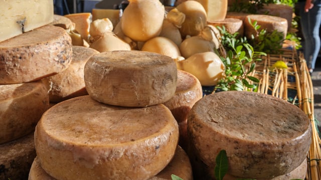 O queijo italiano considerado o mais perigoso do mundo: é uma iguaria para alguns, mas foi proibido em seu país de origem pela presença de um "ingrediente" polêmico
