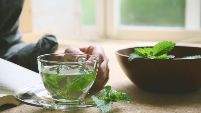 O chá é uma das formas mais tradicionais de consumir a erva-cidreira. (crédito: Shutterstock)