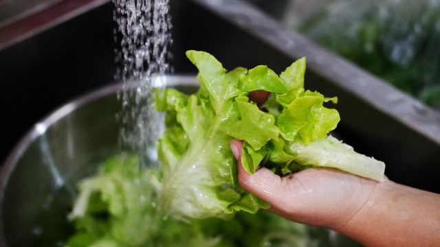 A dica para lavar vegetais em 5 minutos! Uma receita secreta para manter os vegetais frescos por mais tempo
