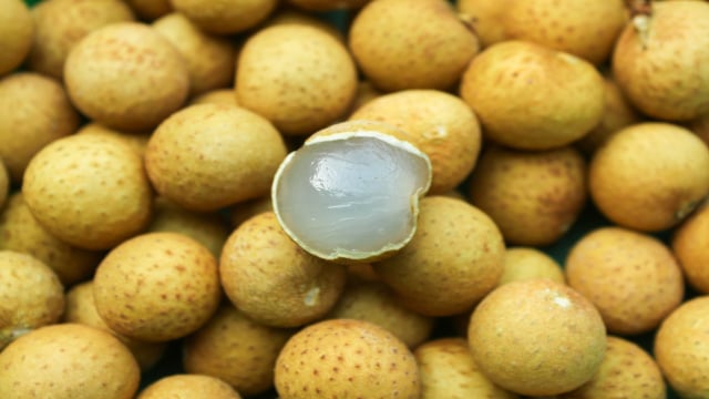 A fruta asiática conhecida como "olho de dragão" que está despertando o interessante dos agricultores brasileiros: tem sabor que lembra mel e potencial para ser a novidade do mercado