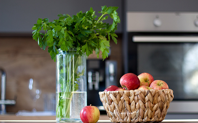 Pouca gente planta, mas essa folha rica em vitamina C e antioxidantes cresce rápido e não dá trabalho