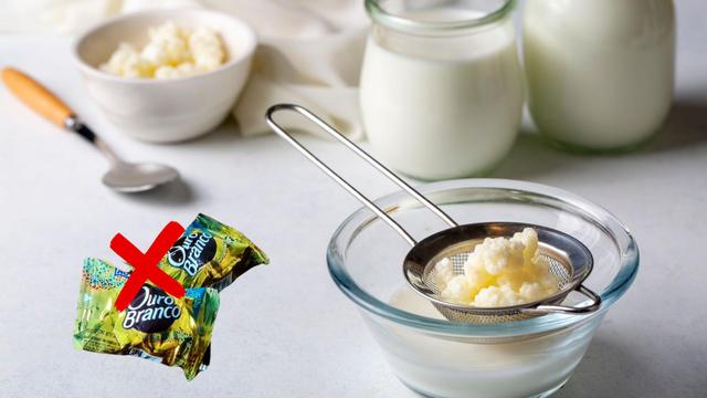 Não é o bombom: alimentos Ouro Branco ajudam a fortalecer a imunidade e saúde intestinal, mas quais são eles?