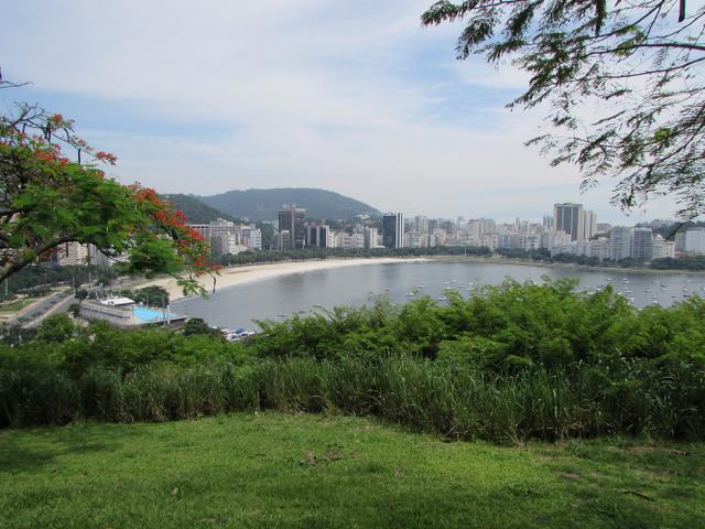 A vista do Mirante do Pasmado é emoldurado pela natureza do parque (Créditos: Paula Araripe/TudoGostoso)
