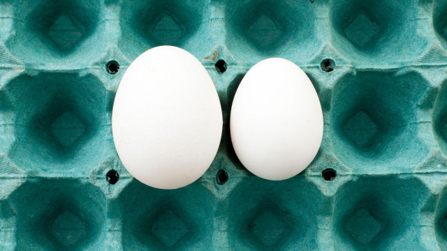 Acabei de descobrir: tamanhos diferentes de ovos são adequados para pessoas diferentes!