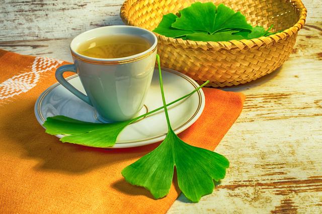 A ginkgo biloba é uma planta chinesa com propriedades que estimulam o fico e concentração. (créditos: Shutterstock) 