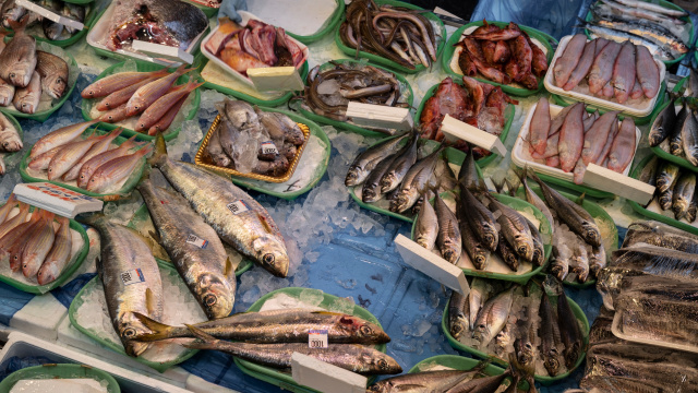 Semana do Pescado tem preços especiais e descontos em tilápia, camarão, atum e mais: saiba como funciona