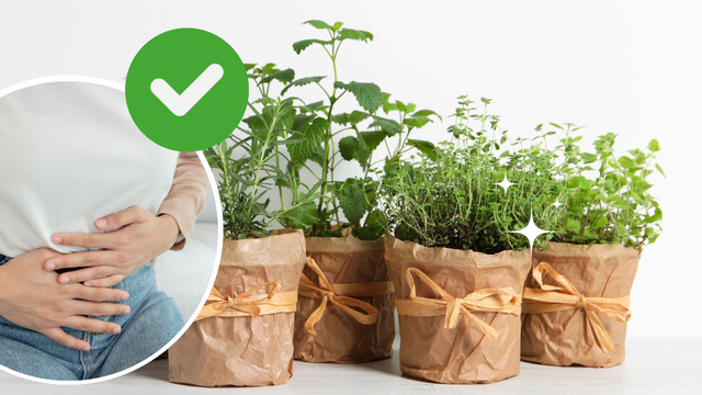 Essa erva aromática que você tem em casa é mágica contra o inchaço (quase ninguém sabe!)