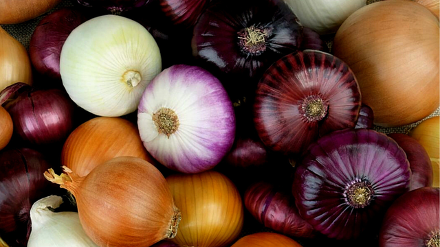 Como fazer a melhor escolha para cada receita. (Créditos: Canva)