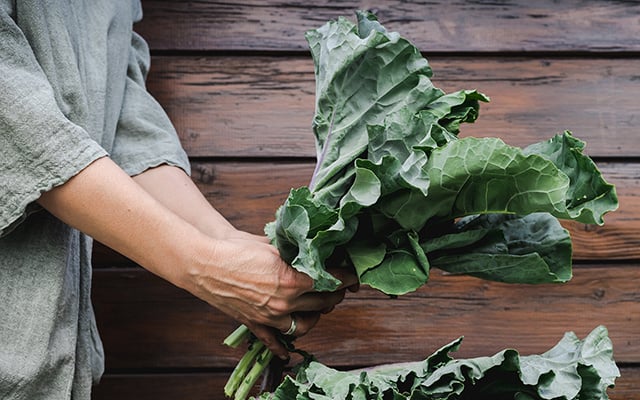 Que grupos de pessoas não devem consumir couve, um vegetal rico em vitaminas?