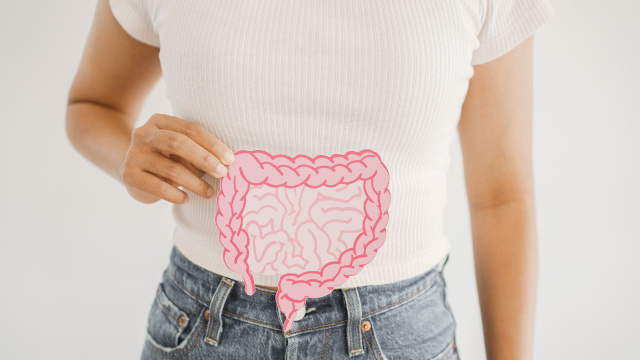 Marcelo Werneck, proctologista: "O que comer e o que não comer se você quer ter um intestino saudável"