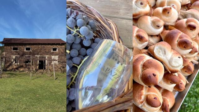 Vinícola na Serra Gaúcha tem videira com mais de 100 anos, pão colonial e cenário de filme indicado ao Oscar