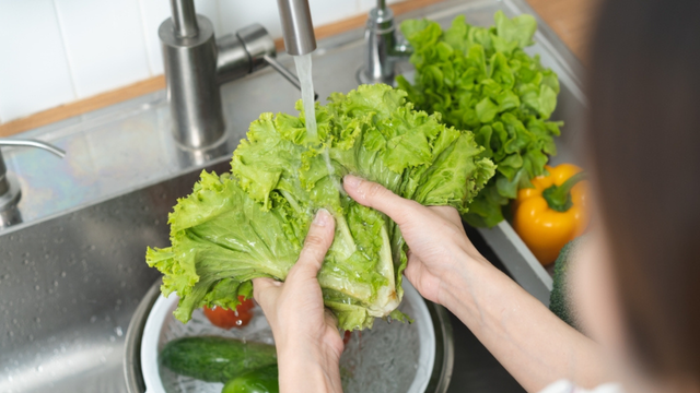 A alface permanece fresca por várias semanas e não escurece se for guardada junto com um utensílio doméstico