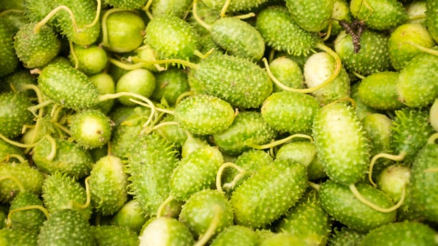 O maxixe é esquecido na feira, mas é cheio de benefícios e o TudoGostoso vai te ensinar 5 receitas deliciosas para incluir no seu cardápio