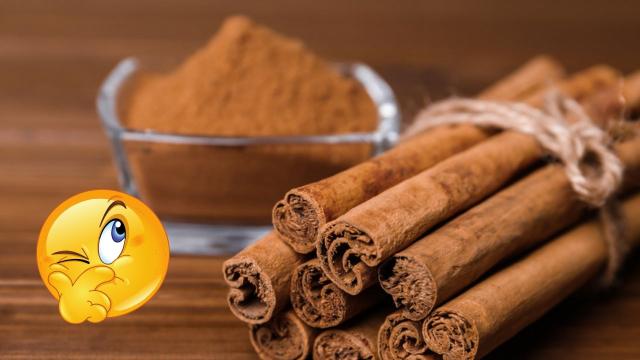 Assim você consegue identificar se a canela é real ou falsa e nunca mais cair em papo de vendedor