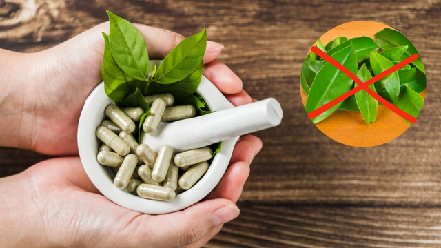 Não é a hora de ora-pro-nóbis: Anvisa proíbe a venda de suplementos dessa planta versátil