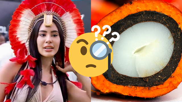 O que é tucumã, qual o sabor e o que significa? Entenda a gíria de Isabelle no BBB 24 em discussão com Bin Laden