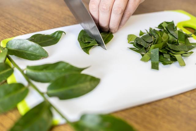 Não é só comer a folha: o que você precisa fazer para aproveitar a proteína da ora-pro-nóbis