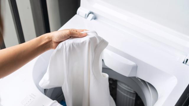 Descubra o que realmente pode danificar a sua máquina de lavar (Créditos: Shutterstock)
