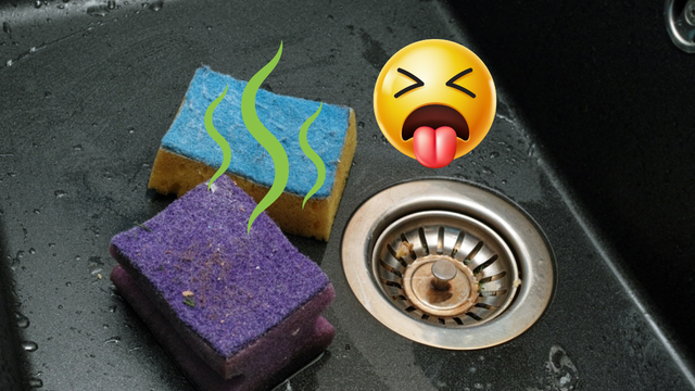 Como limpar DE VERDADE uma esponja de cozinha fedorenta: elimine milhões de bactérias em 1 ou 2 minutos