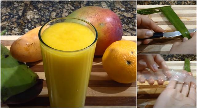 Suco de babosa: como preparar a bebida medicinal do jeito certo (mas não pode tomar todos os dias!)