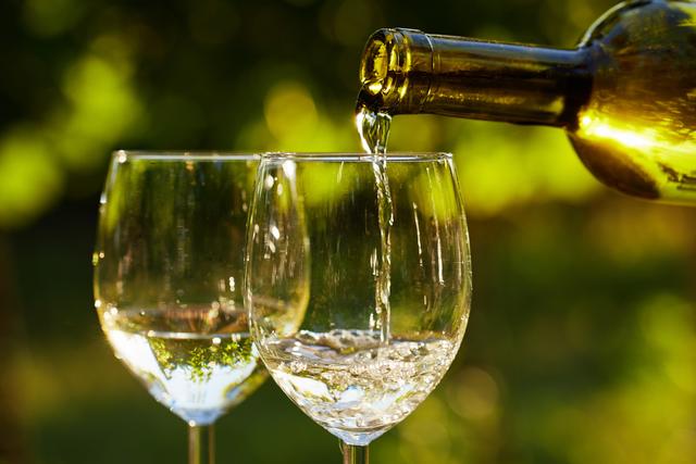 Vinho branco: descubra as top 6 uvas nobres e imperdíveis, segundo especialista