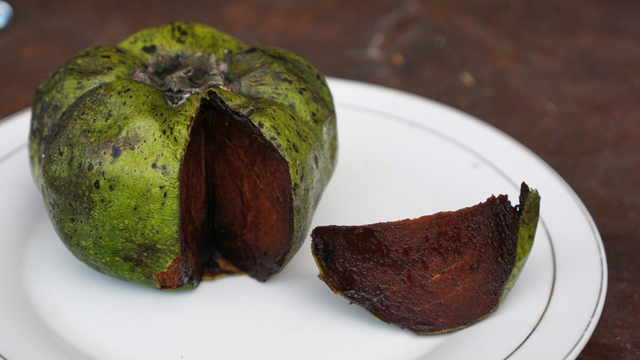 Fruta com gosto de mousse de chocolate é rica em antioxidantes e fácil de cultivar em casa