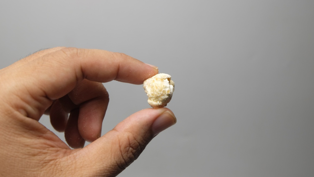 Um simples grão possui inúmeros benefícios. (Créditos: Shutterstock)