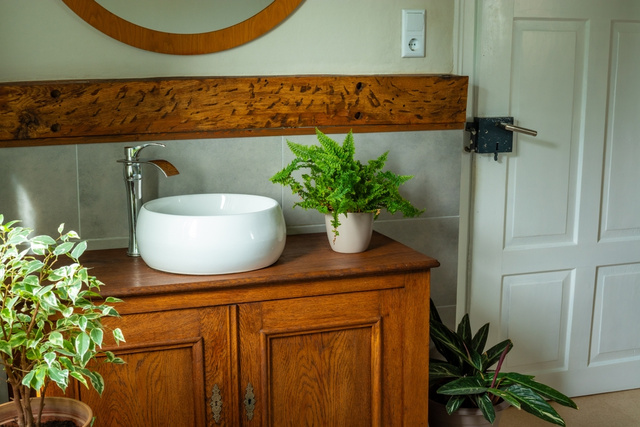 Diga adeus ao mofo no banheiro com essas 3 plantas perfeitas e poderosas