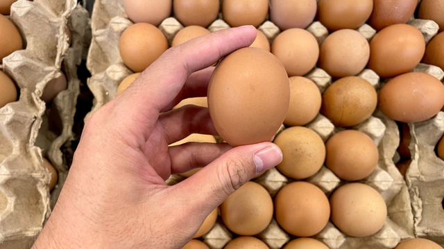 O truque de 10 segundos para saber se o ovo está estragado ou não antes de quebrar e como manter frescos por mais tempo na geladeira