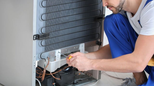 Queria que alguém tivesse me falado o que esses barulhos da geladeira significam antes de eu chamar um técnico