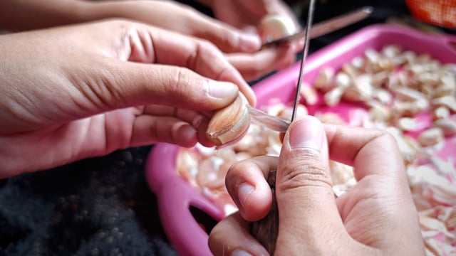 Como eu descasco 1 kg de alho em menos de 10 minutos: não é mágica, é técnica!