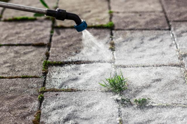 Nada de vinagre branco: esse produto de uso diário é o favorito dos jardineiros para acabar de vez com ervas daninhas sem esforço
