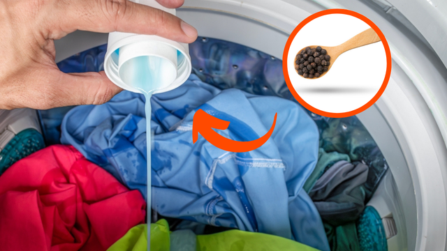 Eu me perguntava por que a vizinha colocava bolinhas de pimenta na lavanderia, agora que vi o resultado vou fazer o mesmo