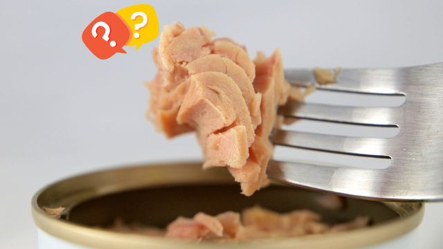 Cientistas abrem latas de peixe da década de 70 e fazem importante descoberta