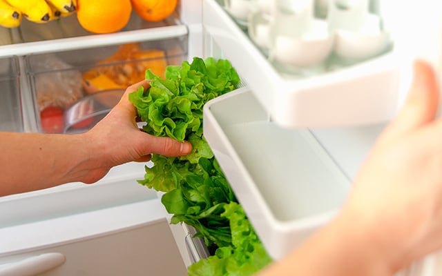 Nem água, nem pano úmido: descubra a melhor forma de conservar folhas na geladeira por mais tempo