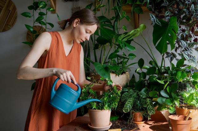Ouro verde para suas plantas: o fertilizante líquido feito com um único ingrediente que você tem em casa e pronto em 10 minutos