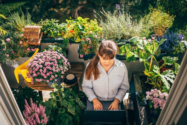 Precisa de mais privacidade na sua varanda? TudoGostoso ensina truques com plantas que vão bloquear a vista e deixar ainda mais bonita