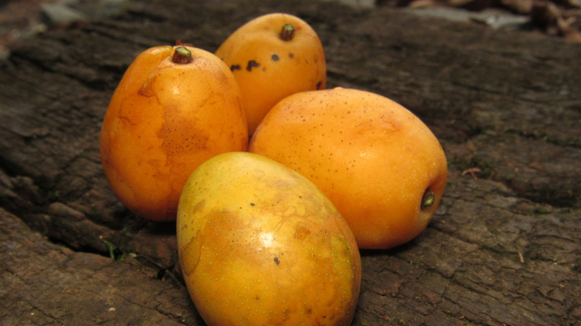 Essa fruta tropical rica em vitamina C combate inflamações e previne doenças do coração; veja como aproveitar em casa