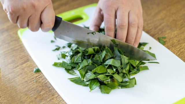 O que acontece com o corpo de você comer 10 folhas de ora-pro-nóbis por dia?