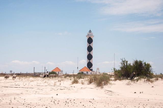 Farol Albardão é uma das principais atrações da Praia do Cassino (Créditos: Shutterstock)