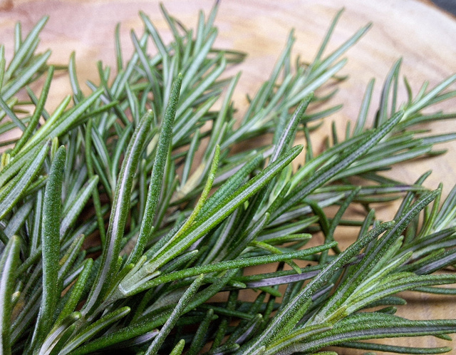 Nada de comer! A solução pra melhorar a memória em 75% é cheirando essa erva aromática, revela estudo recente