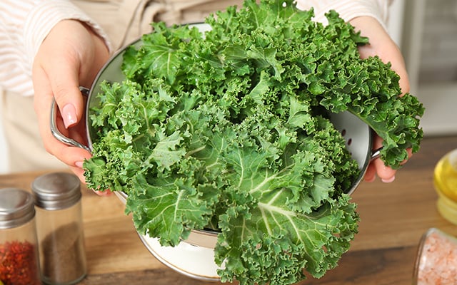 Adeus pó branco na couve: aprenda a usar o truque que limpa tudo rapidinho e sem esforço