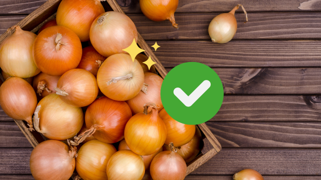 Como é possível manter cebolas frescas por 6 meses: não mofa!