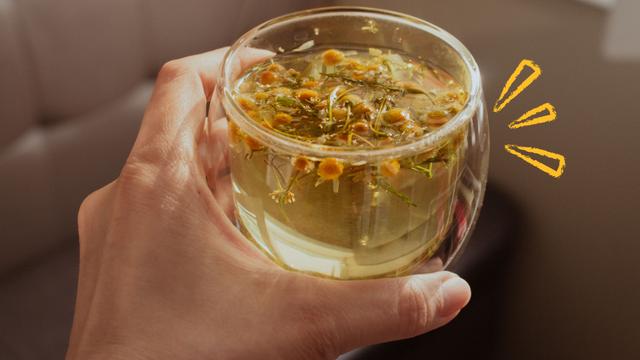 O que acontece se você tomar chá camomila com anis todos os dias: entenda benefícios, efeitos colaterais e saiba como fazer a infusão