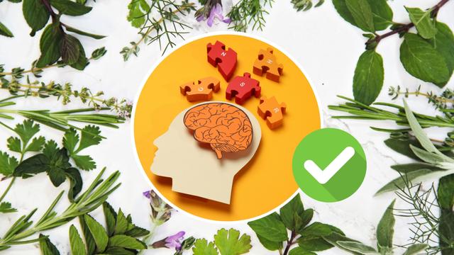 9 ervas e como cada uma delas turbina a memória e o cérebro: veja também como incluir na alimentação do dia a dia